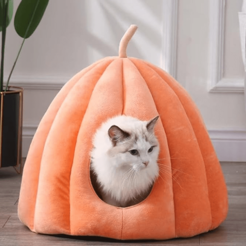 CitrouilleChaud | Nid Fermé Confortable pour Chat