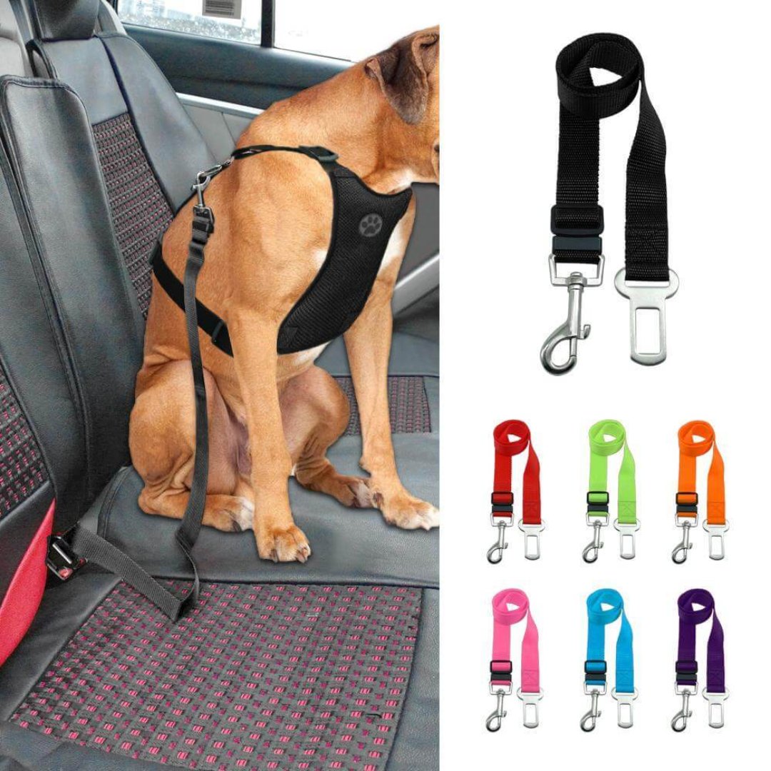 ChienVoyage | Ceinture Réglable pour Sécurité et Confort
