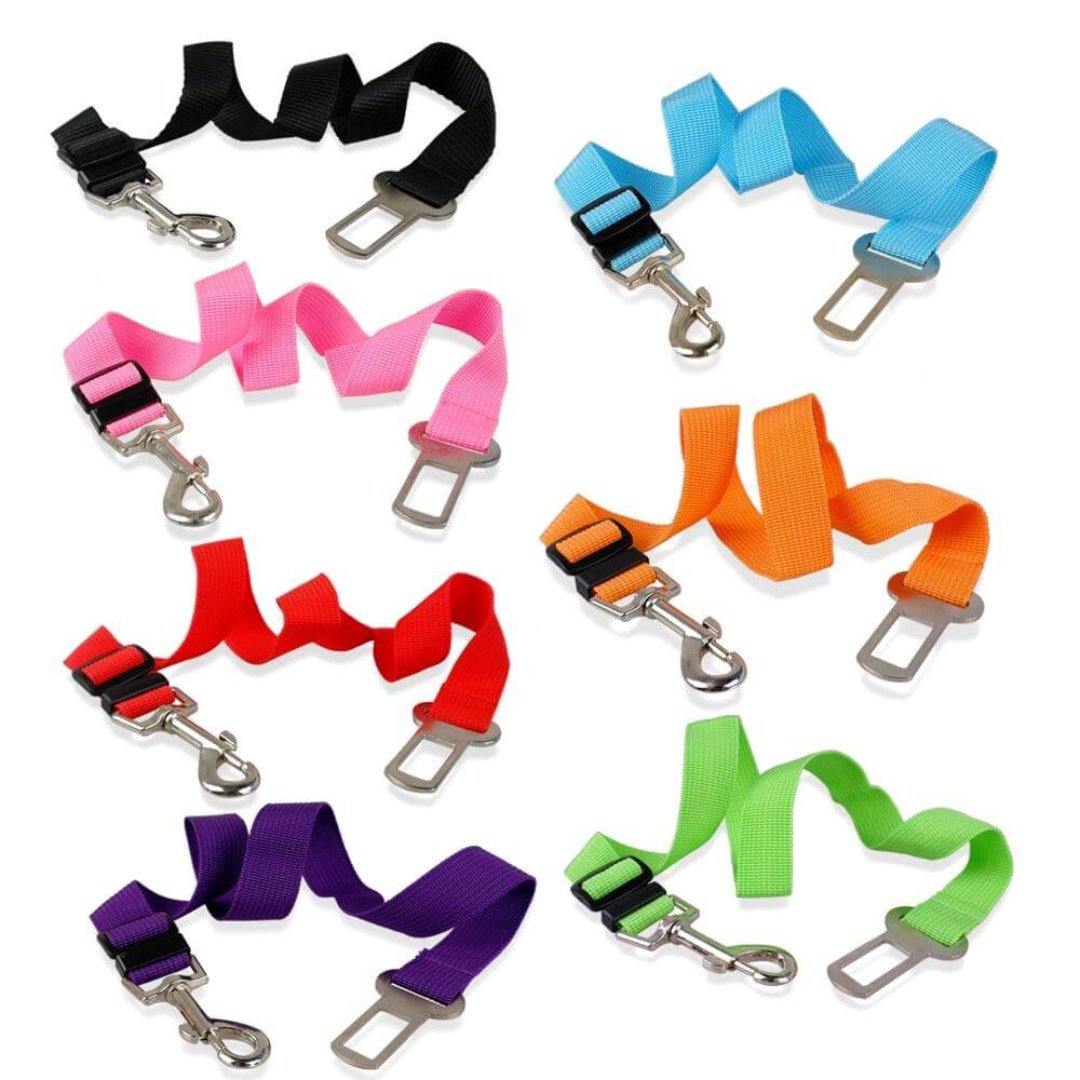 ChienVoyage | Ceinture Réglable pour Sécurité et Confort