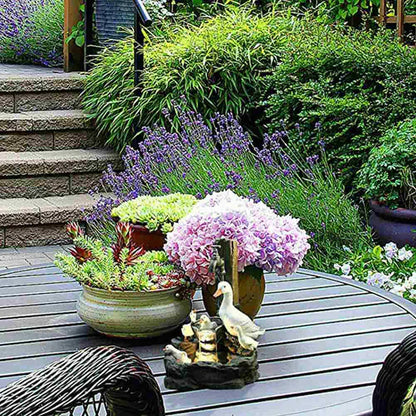 EdenCanard | Fontaine Décorative Canard pour Jardin Léger et Relaxant