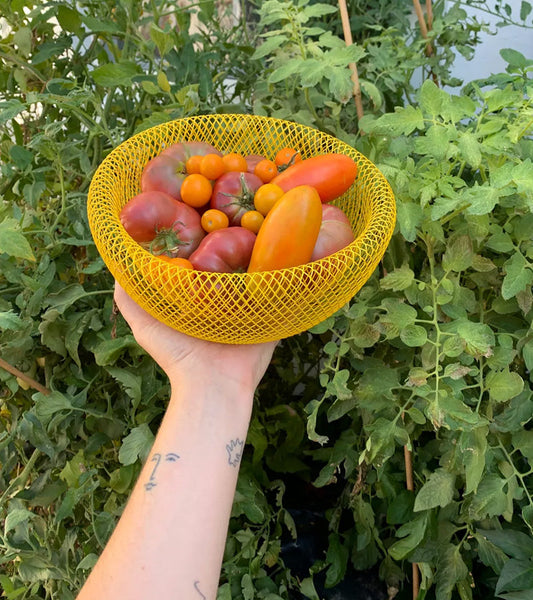 AirFruit | Panier à Fruits en Acier Élégant et Respirant