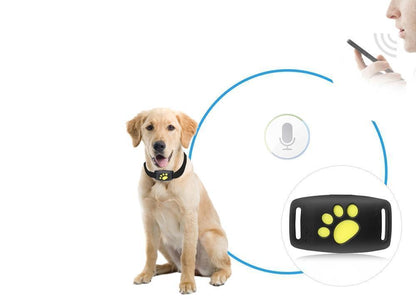 PawTrack | Système de Suivi GPS pour Chats avec Suivi en Temps Réel