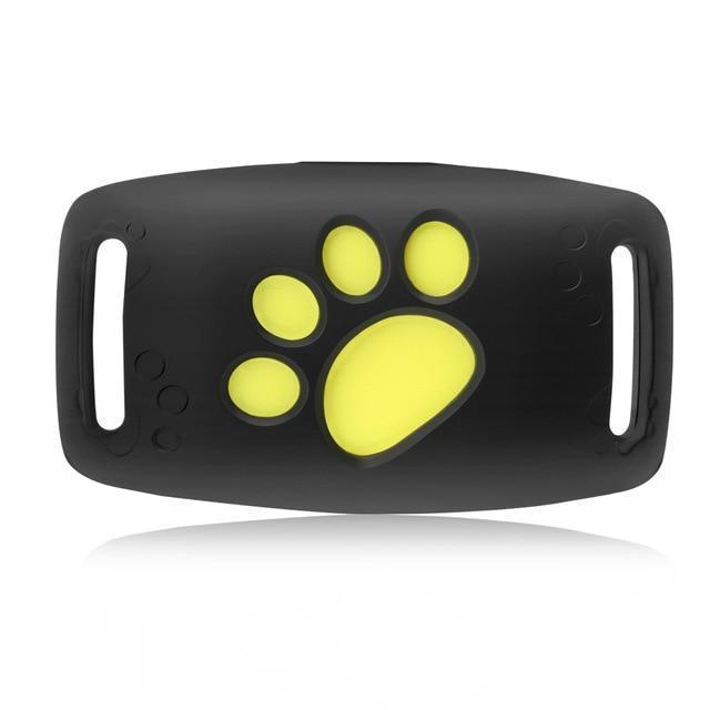 PawTrack | Système de Suivi GPS pour Chats avec Suivi en Temps Réel